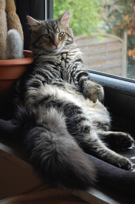 der coole Albert.jpg